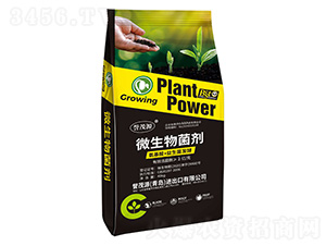 ΢�������-�uïԴ