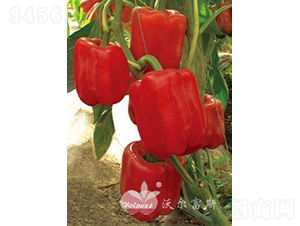 �t�_��F1���M(j��n)�ھG�D(zhu��n)�t��Ʒ�N��-�𽷷N��-�֠���˹