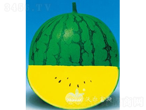 �S����F1�����N�S��YƷ���ϣ�-���ϷN��-�֠���˹