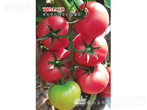 ������F1����TY���޷۹����ѣ�-���ѷN��-�֠���˹