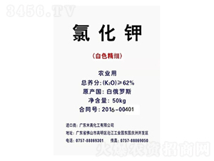 62%���_˹��⛣���ɫ������-¡���r�Y