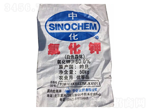 �s����⛣���ɫ���w��-¡���r�Y