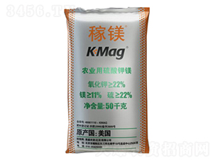 ��ʢ���V��������V-¡���r�Y