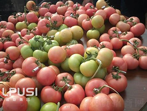 ���۾�̖(h��o)F1����TY�۹����ѣ�-���ѷN��-�֠���˹