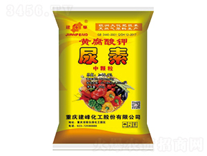 �S���������-¡���r(n��ng)�Y