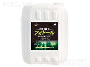 ΢�������-������-��ɏ-���r��