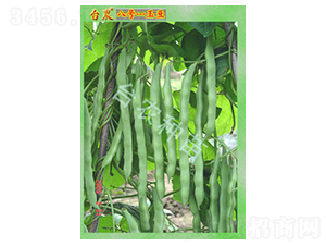 �_(t��i)�r(n��ng)8̖(h��o)��-�˶��N��-�_(t��i)�r(n��ng)�N��