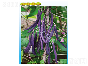 �_(t��i)�r(n��ng)����1212�ļ���-�ļ����N��-�_(t��i)�r(n��ng)�N��