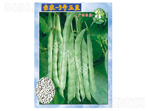 �_(t��i)�r(n��ng)3̖(h��o)��-�ļ����N��-�_(t��i)�r(n��ng)�N��