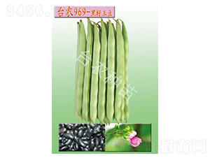 �_(t��i)�r(n��ng)969������-�ļ����N��-�_(t��i)�r(n��ng)�N��