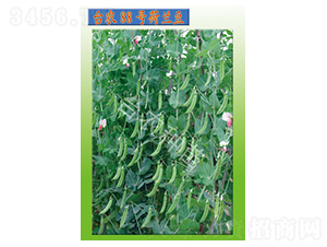 �_(t��i)�r(n��ng)88̖(h��o)���m��-�㶹�N��-�_(t��i)�r(n��ng)�N��