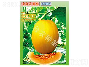 �_(t��i)�r(n��ng)��t�����-��ϷN��-�_(t��i)�r(n��ng)�N��