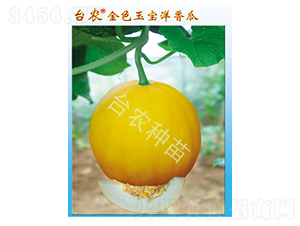 �_(t��i)�r(n��ng)��ɫ�����-��ϷN��-�_(t��i)�r(n��ng)�N��