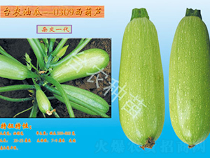 �_(t��i)�r(n��ng)0309�����J-�����J�N��-�_(t��i)�r(n��ng)�N��