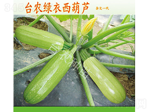 �_�r(n��ng)�G�������J-�����J�N��-�_�r(n��ng)�N��