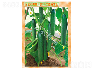 С��ͯ217ȫ��ϵ�S��-�S�ϷN��-�_�r(n��ng)�N��