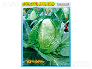 ����0912���{(l��n)-���{(l��n)�N��-�_�r(n��ng)�N��