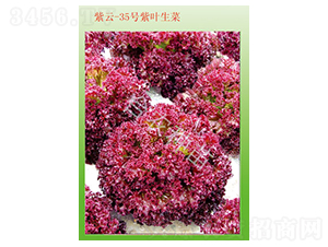 ����35̖���~����-���˷N��-�_�r(n��ng)�N��