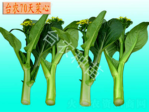 �_�r(n��ng)70���������-�Ͳ˷N��-�_�r(n��ng)�N��