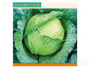 �_�r(n��ng)��ο32���{(l��n)-���{(l��n)�N��-�_�r(n��ng)�N��