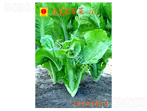 �_�r(n��ng)�ͼҽ�-��˷N��-�_�r(n��ng)�N��