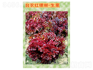 �_(t��i)�r(n��ng)�tɺ������-���˷N��-�_(t��i)�r(n��ng)�N��