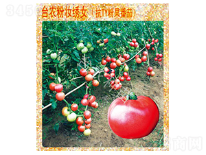 �ۊy�CŮ����-���ѷN��-�_(t��i)�r(n��ng)�N��