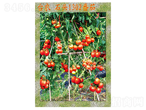 �_(t��i)�r(n��ng)ʯ�^1302����-���ѷN��-�_(t��i)�r(n��ng)�N��