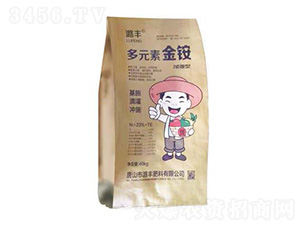 �ӏ��Ͷ�Ԫ�ؽ��@-º�S����