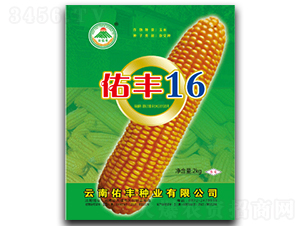 ���S16-���׷N��-�������S�N�I(y��)