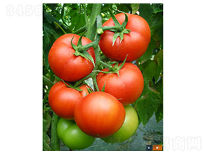 6169����-���ѷN��-�𸣈@�r(n��ng)�I(y��)