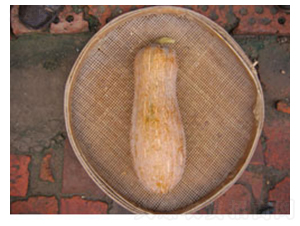 ���۴���Ϲ�-�ϹϷN��-�𸣈@�r(n��ng)�I(y��)