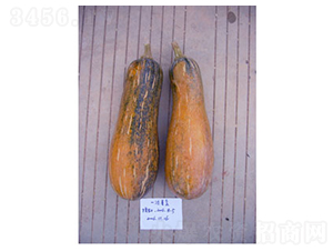 �������Ϲ�-�ϹϷN��-�𸣈@�r(n��ng)�I(y��)