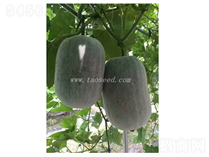 ����2̖-��(ji��)�ϷN��-�𸣈@�r(n��ng)�I(y��)