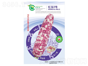 �t��2̖(h��o)-���׷N��-�𸣈@�r(n��ng)�I(y��)