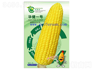 �A��һ̖-���׷N��-�𸣈@�r(n��ng)�I(y��)