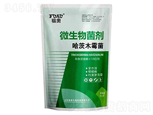 ΢�������-����ľù��-���W