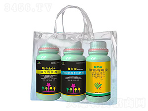 ���������ײ�-�ض�ʿ-�A���еV