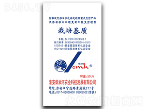 ������|(zh��)-���׺�