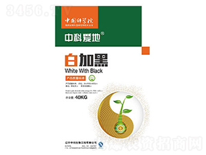 �׼Ӻ�ϵ���ײͷ�-�пƐ۵�-�пƷ���