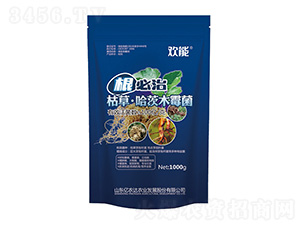 �ݲݡ�����ľù��-������-�|�r�_�r�I(y��)