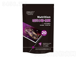 ����ľù�����ݲ�-���_��-�|�r�_�r�I(y��)