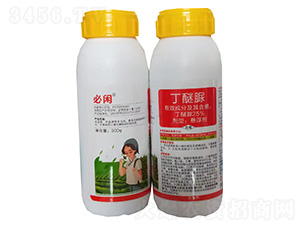 25%������Ҹ���-���e-�G������