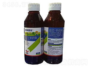 30%���١�����������900ml-�G������-�G������