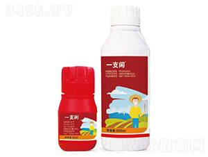 2%�װ������S���ر������}����-һ֧�e-�G������