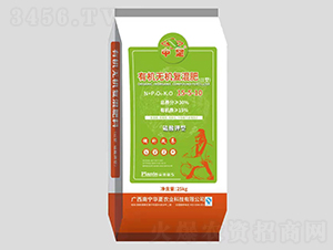 ��������ЙC�o�C��(f��)���15-5-10-�г�