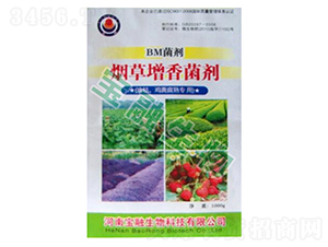 BM��������������Ϳ����u�S���ã�-��������