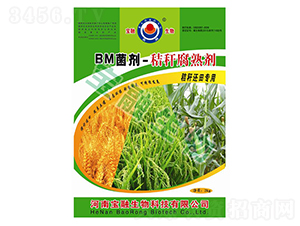 BM����-�ն����섩-��������