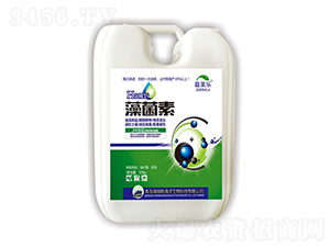 �����-������(l��)-����˹