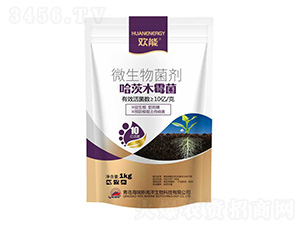 ����ľù��-�g��-����˹